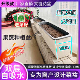 超窄长条花盆储水窗台种植盆家庭蔬菜种植箱长方形花箱阳台花盆厂