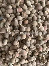 ��ș�č����Ӹ���ș���ҽ����ɽ���Ӹ��L�ڹ���������������ă�