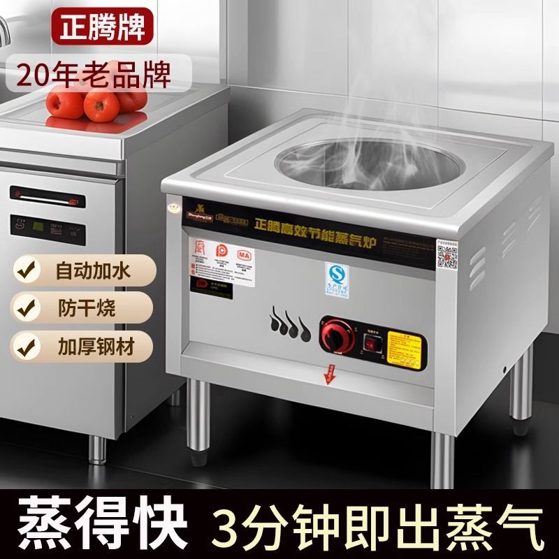 horno de paquete Zhengteng calentamiento eléctrico horno de vapor comercial multifuncional bolos fríos piel de gas jaula pequeña bolsa de pan al vapor salchicha ahorro de energía vapor