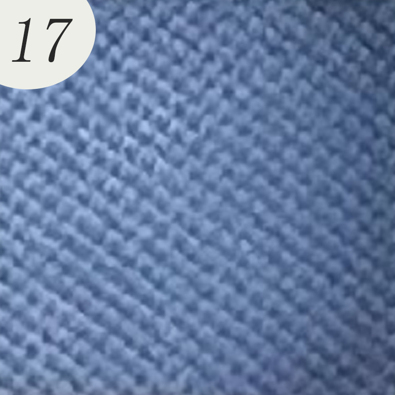 2101-17#