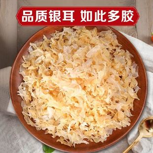 �y�����؛�ؼ�Ұ��������؛Ŵ������ʳ�ľ��ľ��Сѩ������