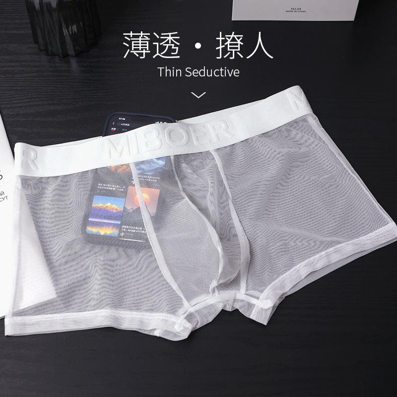 20D Ultra-Fine Mesh Underwear for Men, Fully Transparent, Summer Thin Style, Invisible, Breathable, Sexy, Cross-Border Boxer Briefs