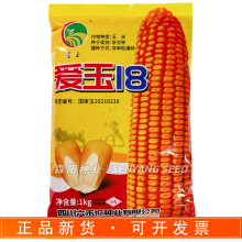 ����18�����s���N���������������ճ���ȷN������958�r�ƴ��̖