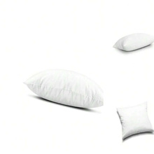 2026�� C4131 �羳���Q���ɫӢ���ˮϴ������w�S���|о