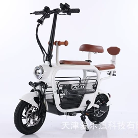 其他电动车;电动代步车;电动三轮车