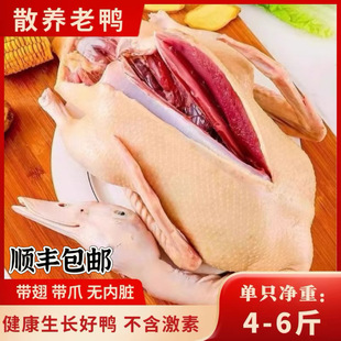 ��3���������r��ɢ�B���������������������r�������r��������ֻ