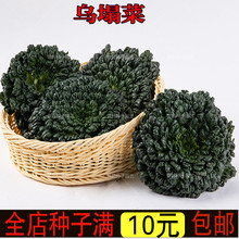 ĞС~˷NļﶬͥԺ߲˷N