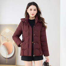 lŮ޷2025¼Ӻ̿nr@СӸ߼