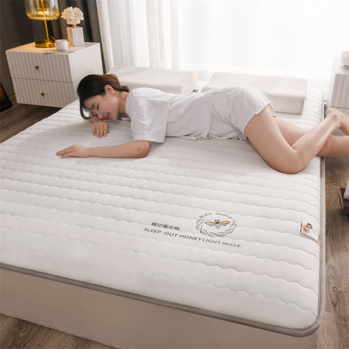 Factory Direct Sale Soy Fiber Mattress for Inn, Thick Tatami Mattress, Student Dormitory, Foldable Memory Foam Pad