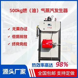 商用燃气蒸汽发生器 用于无纺布热压加工 药材烘干
