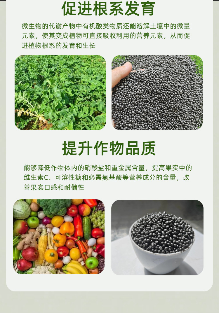 09机播 颗粒微生物菌肥详情页