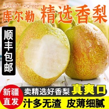 批发新疆库尔勒香梨新鲜应季孕妇水果大母梨新鲜整箱9斤产地直发