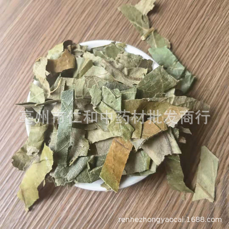 Dried Loquat Leaf Pi Pa Ye 枇杷叶 Traditional Chinese Herb for Herbal Tea and Decoction Sold by Weight quality and texture