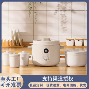 Electric Stew Pot Multifunctional Household Water-Proof Stew 2.5L Fully Automatic Small Electric Stew Pot Ceramic Soup Steaming Porridge Stew Bird's Nest