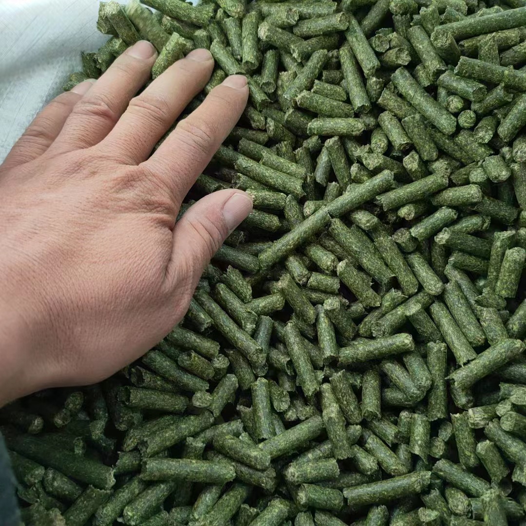 3fb49c61e4f227ff638d6ec9dcf2ae