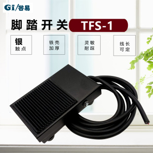 �S���F���_̤�_�PTFS-1�����_���_�PTFS-201 TFS-302 15A 250V