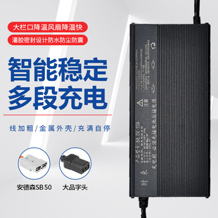 늄�܇�늳س����48V60V72V8A10A��Ҏ110V�����X������ƿ܇