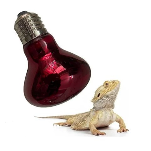 E27 амфибия змея рептилия лампочка лампа тепло ночник дневная лампа UVA 55g Керамическая нагревательная лампа