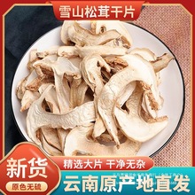 云南雪山松茸干货500g野外生长干片新鲜菌菇松茸菇菌子