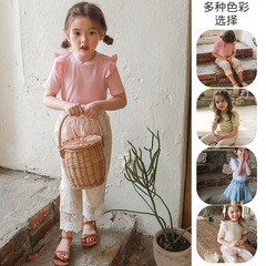 女童T恤2024草莓珊韓國兒童女孩洋氣菲邊棉質條紋短袖上衣