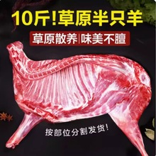 羊肉新鲜现杀内蒙古10斤羊蝎子羊排全羊整只羊腿烧烤食材