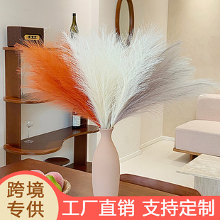 ��Ʒ55cm3������˹�����JȔ����Ȕ���ķ��������˹���b��JȔ��