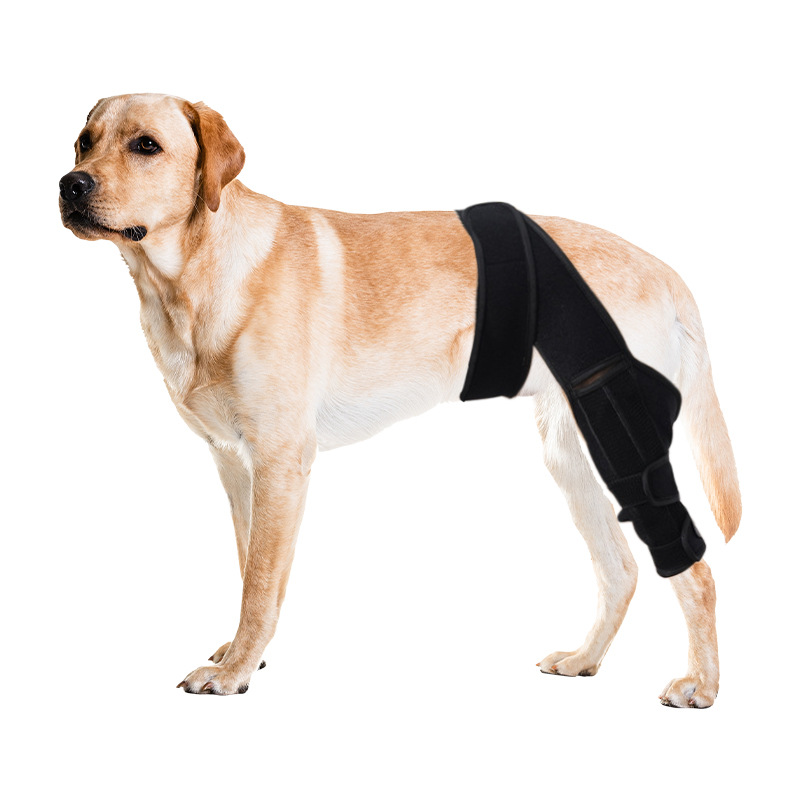 Nuevos productos transfronterizos, rodilleras para perros para mascotas, protectores para patas traseras para perros, protectores para patas traseras, protectores para prevenir lamidos y mordeduras después de la cirugía, fabricantes de protectores para piernas auxiliares image 9