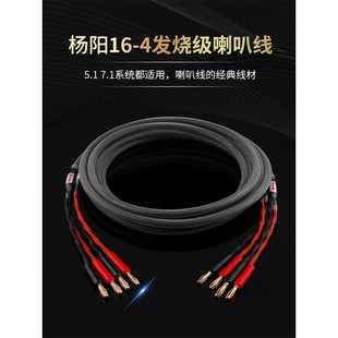 �l�������Ⱦ�HiFi��о6N�o���~���Ⱦ��h�@�����侀�㽶�^2������