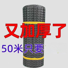 �����u�W���@���Z�B�u�Bֳ�W�W�������ׇ��ھW���o�W�B�u�W����