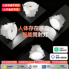 人体存在感应灯人来即亮人走灯灭已接入米家APP入式天花筒灯射灯