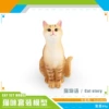 Кошачьи истории (PL127-3391, 89 г)