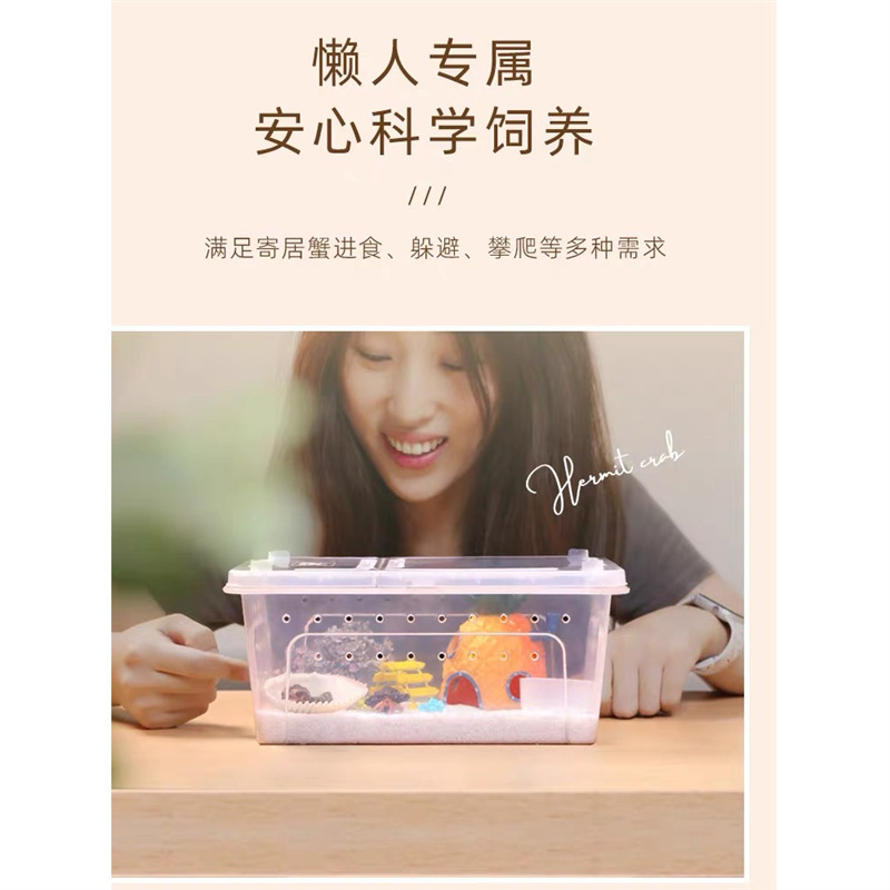 초보자를 위한 소라게 사육 탱크 세트, 어린이 사육 스폰지밥 네모바지 조경 상자 소라게 완전 세트