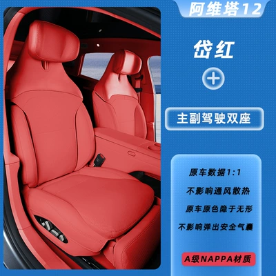 Universal for All Seasons, New Avita | Modelə uyğun (Original) oturacaq örtükləri - daihong-main-and-co-pilot-two-seater-avita-12-special-car