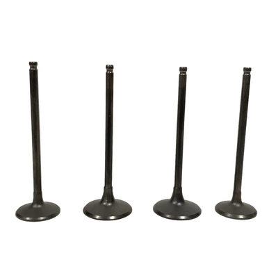 Motorcycle Parts Valve Valves and components