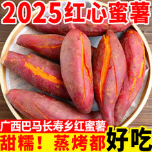 红心蜜薯广西巴马长寿乡新鲜红薯沙地糖心番薯西瓜红番薯香甜地瓜