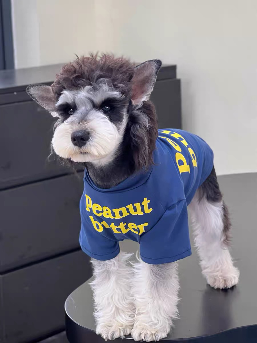 ed55edad-735d-4ea7-b607-ec87fabb9e10.jpe