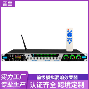 Professional words simple anti-howling stage front-level reverb effect microphone performance home KTV audio processor