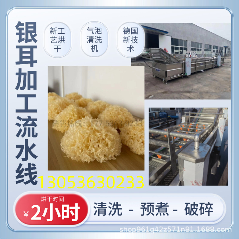 无花果气泡清洗机 带过滤丁香萝卜清洗去泥沙设备 石榴清洗风干线