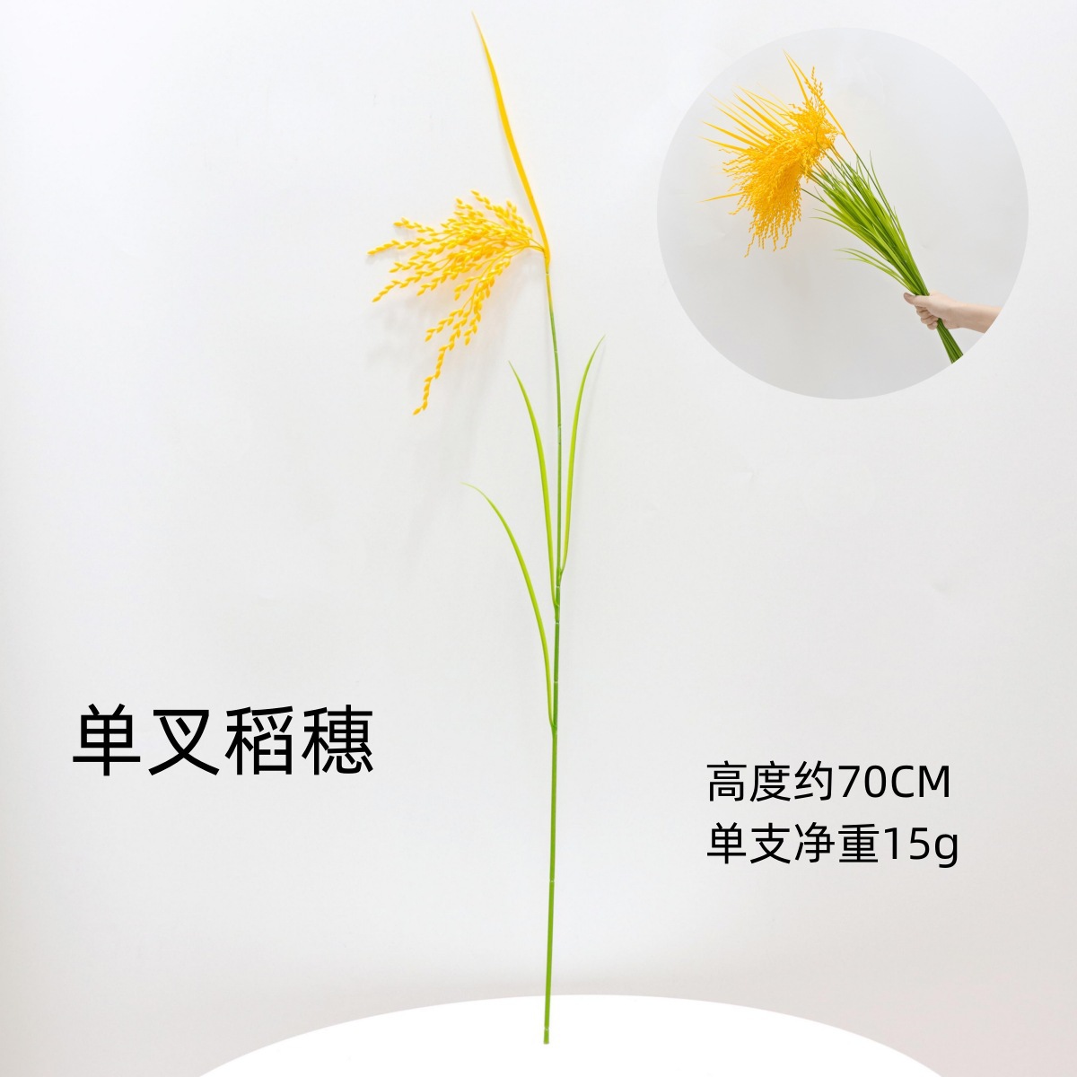 단일 갈래의 벼 이삭