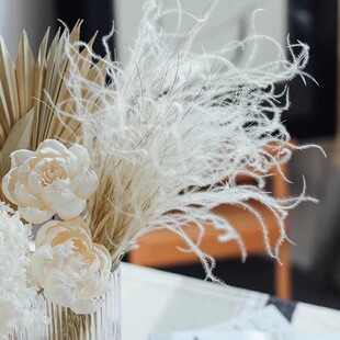 ������ë���ɚ���øɻ��滨�M�ڸ߶˻��Ļ�c�b���diy���