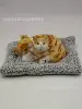 Mother and son yellow raccoon cat squat + gray plush pad