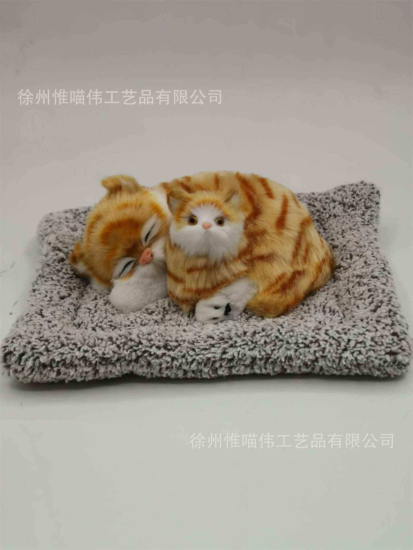 Madre e hijo amarillo castor gatos en cuclillas + cabellos grises