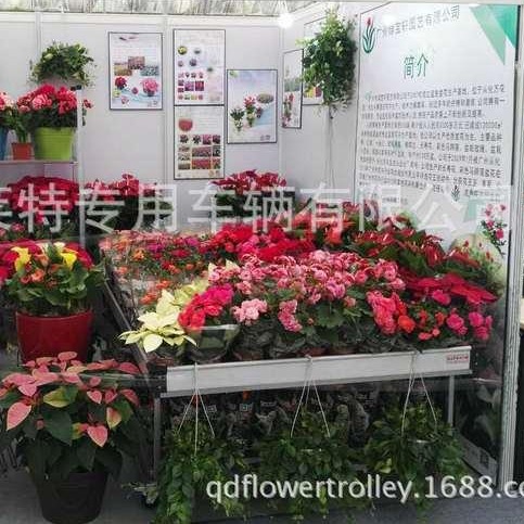 可移动 花园中心 可蓄水花卉盆栽多肉展示床 多产品展示架