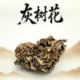 植物提取物;灵芝;羊肚菌