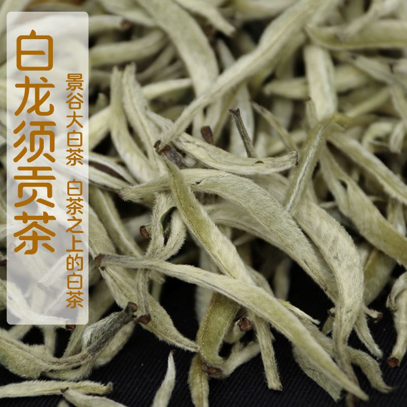 2026 Early Spring Jinggu White Tea Single Bud Large Bud White Dragon Whisker White Silver Needle Moonlight Beauty 500g Tea Leaves