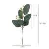 1 sprig of fruiting eucalyptus leaves