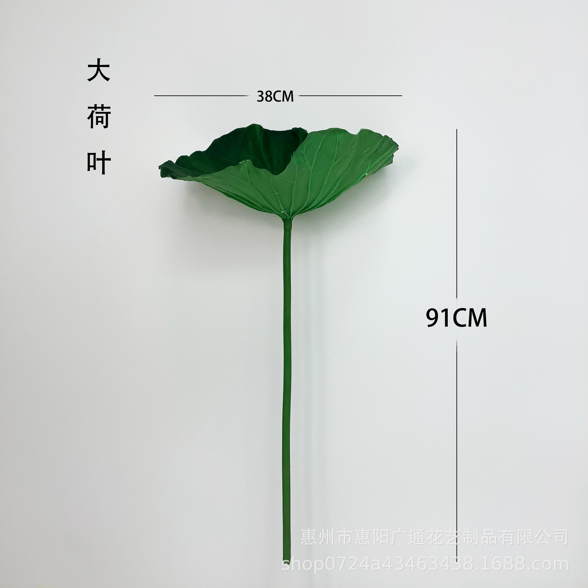 큰 연잎