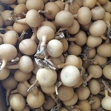 ̎�� ��Ȼ������J�������J���Ѻ��J΢覴ò��˓Q