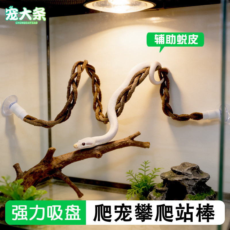 Reptile Climbing Vine with Suction Cup Design for Landscaping and Enrichment, Realistic Climbing Structure for Snakes, Geckos, and Lizards, Available for Cross-Border Shipping Reptile Climbing Vine with Suction Cup Design for Landscaping and Enrichment, Realistic Climbing Structure for Snakes, Geckos, and Lizards, Available for Cross-Border Shipping