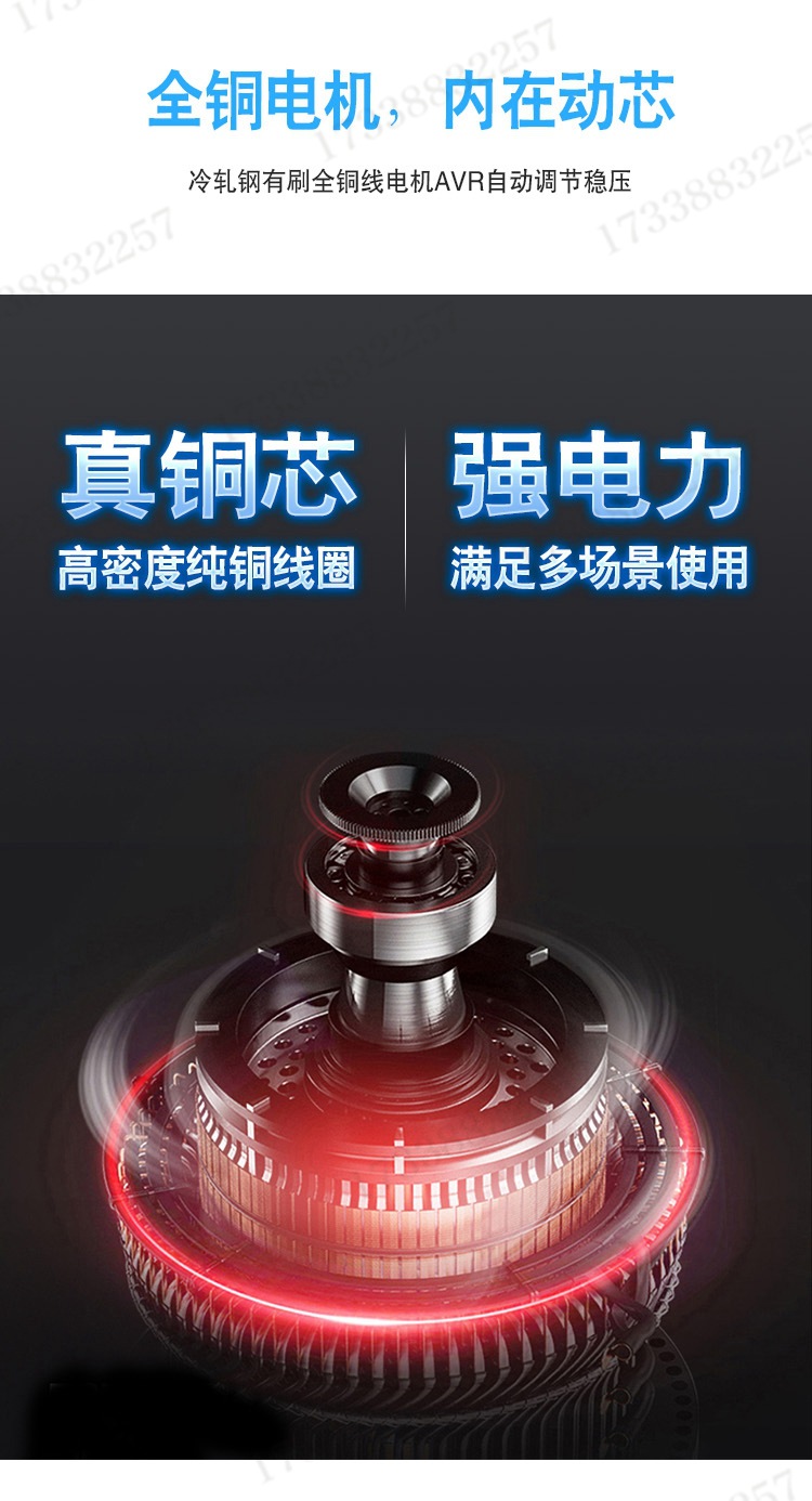 福建瑞天恒汽油发电机组02